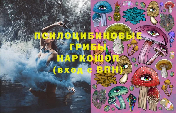 наркотики Новодвинск