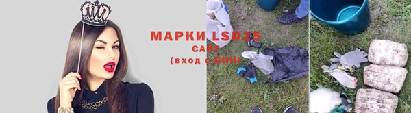 скорость Новозыбков