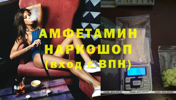 скорость Новозыбков